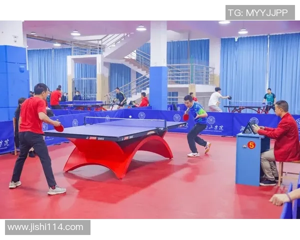 张强专访揭秘乒乓球成功秘诀与训练背后的故事